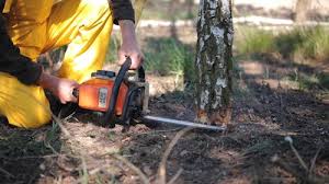 Landscape Design and Installation in Devine, TX